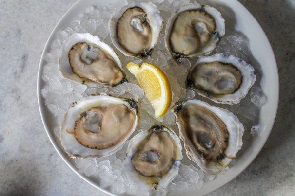 Raw Bars In Philly for Eating Shrimp Cocktail and Plenty of Oysters