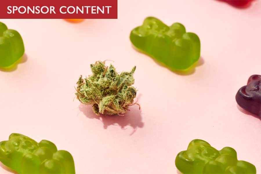 Delta 9 Gummies: 5 Tasty THC Edibles For Ultimate Relaxation