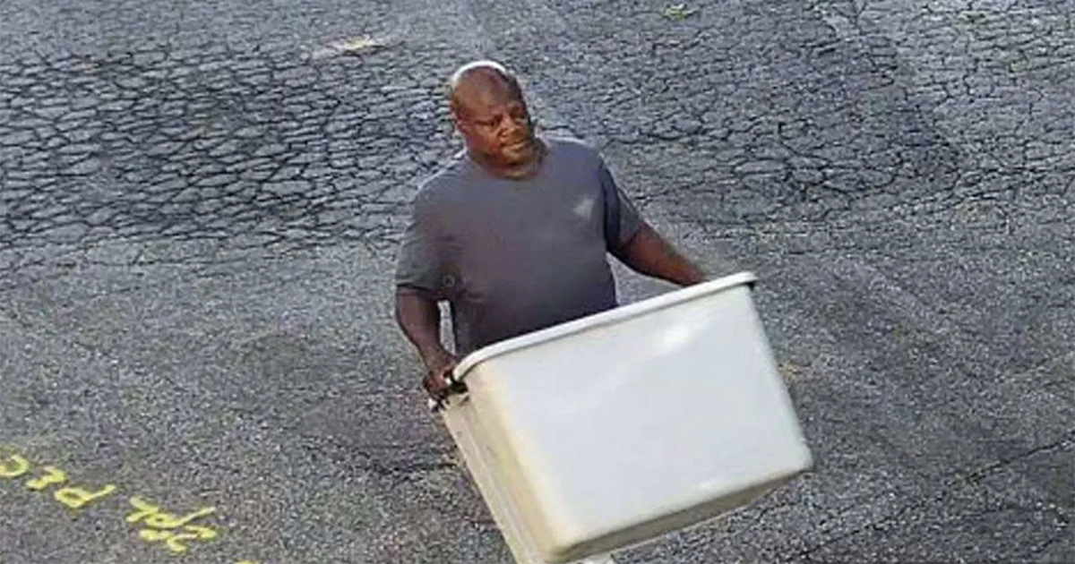 Philly Today: Be on the Lookout for a Delco Kitten Killer - Vimarsana News
