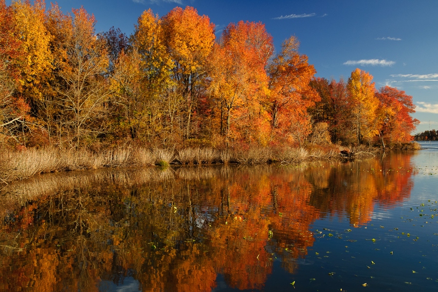 The Best Fall Foliage Hikes in and Around Philadelphia
