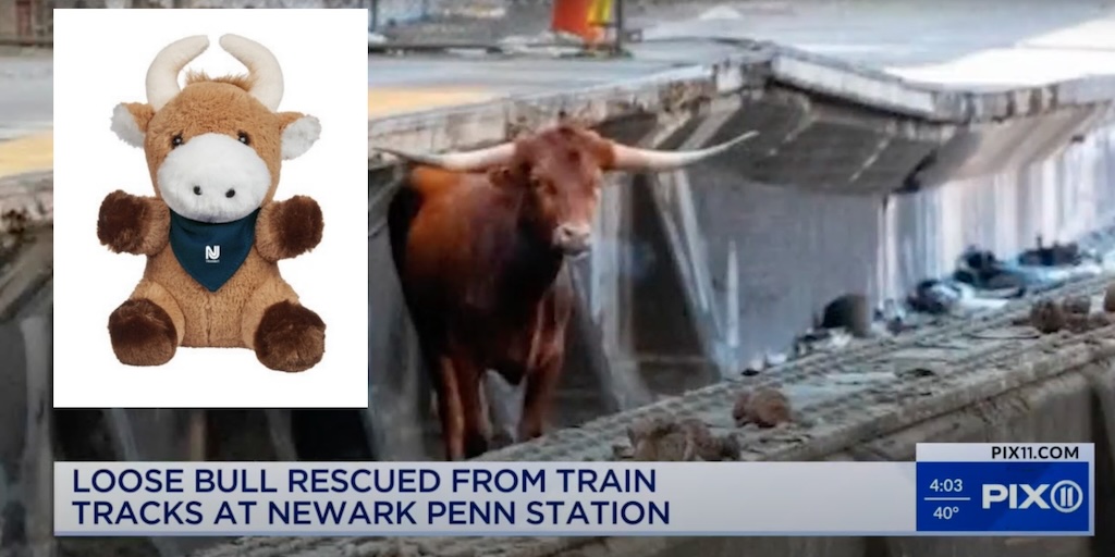 Philly Today: Ricardo, the Famous NJ Transit Bull, Now a Plushie - Vimarsana News