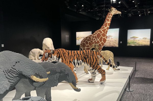 Inside The Art of the Brick, the Franklin Institute’s Lego Exhibit