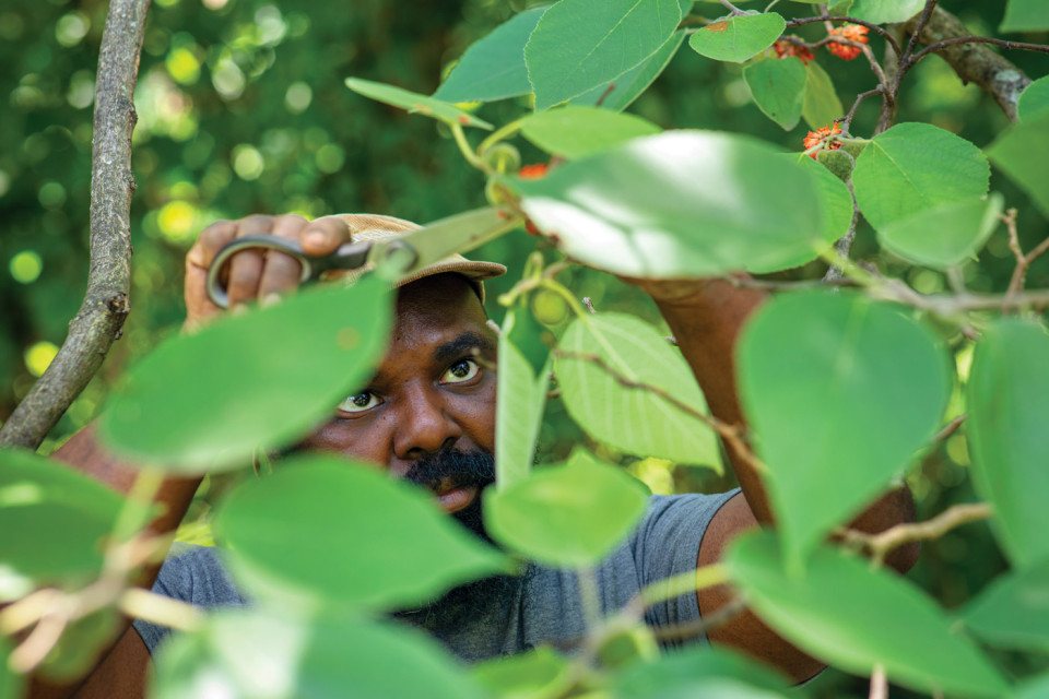 foragers foraging food philadelphia