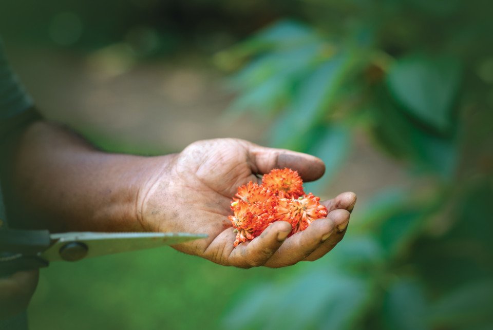 foragers foraging food philadelphia