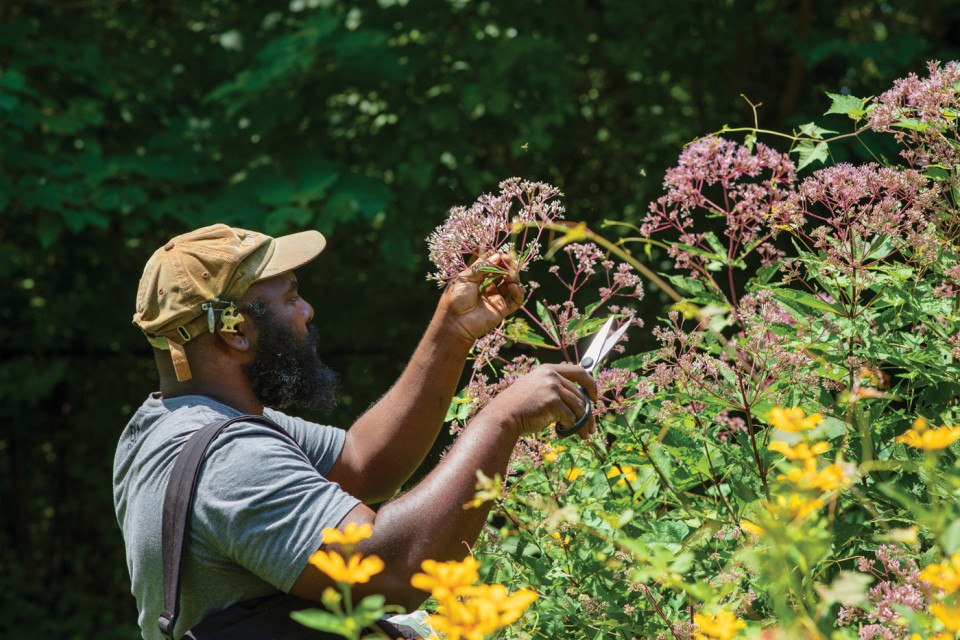 foragers foraging food philadelphia