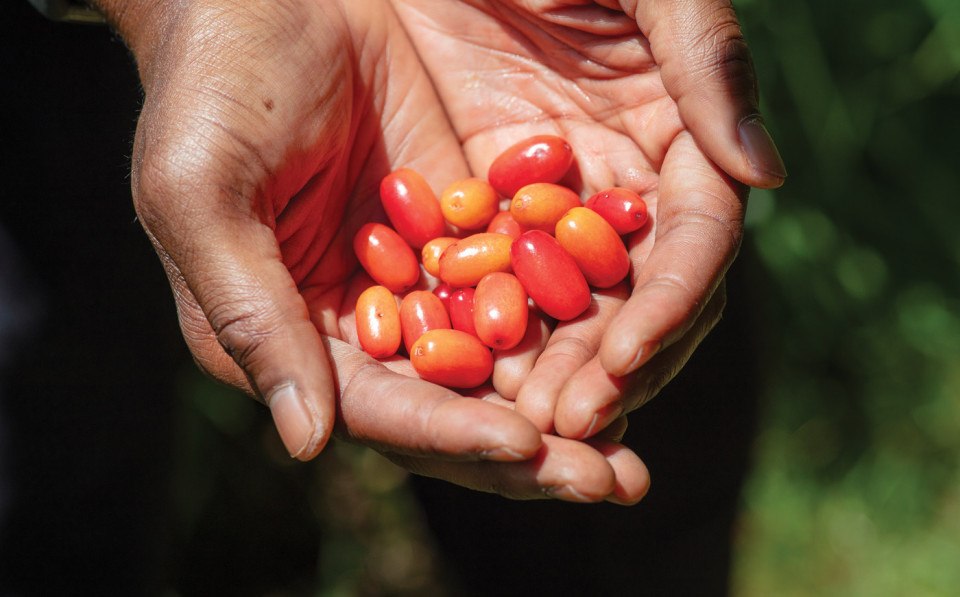 foragers foraging food philadelphia