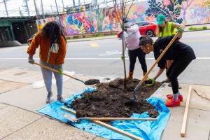 tree planting at wayne junction