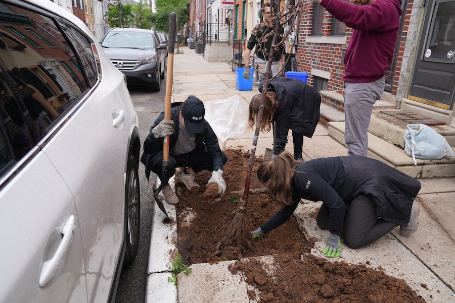 free street trees philadelphia