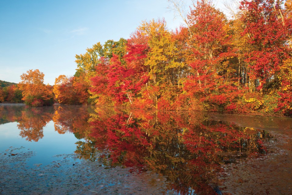 fall poconos