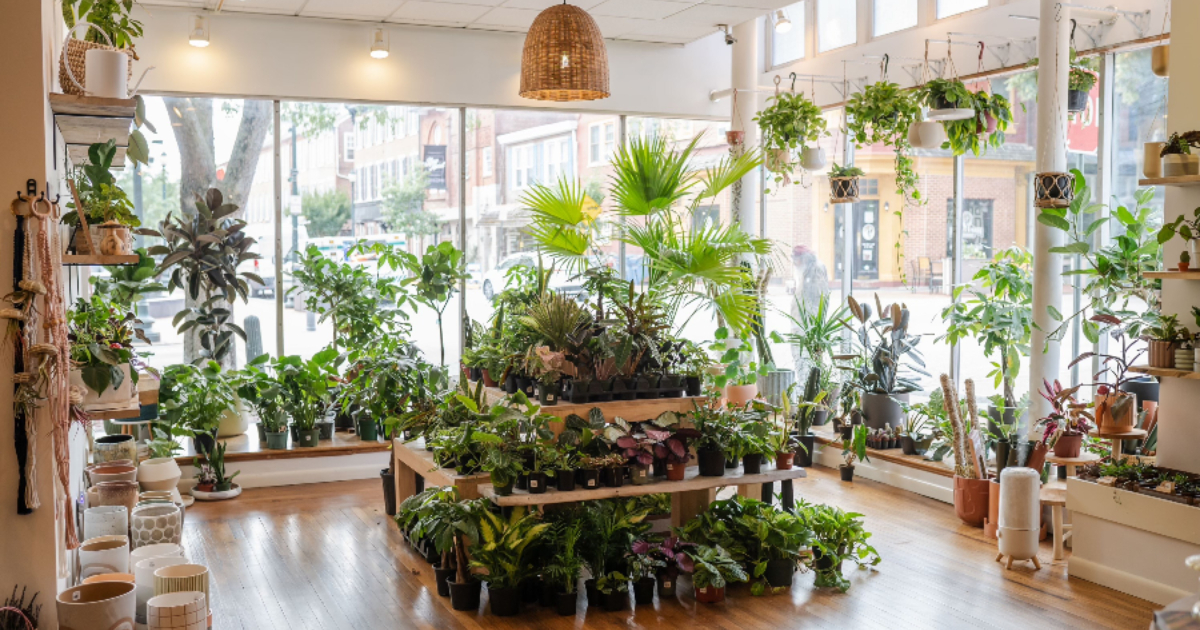 Philly-Area Plant Shops That'll Fill Your Home With Green