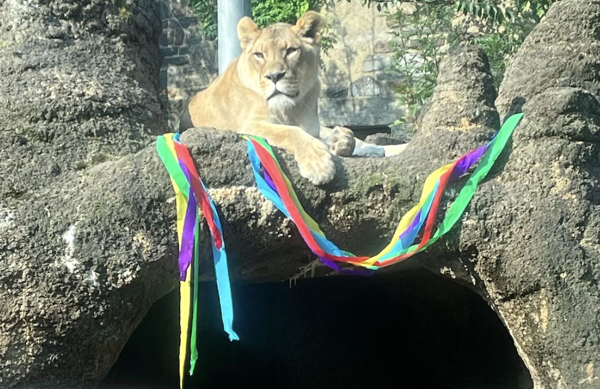 An image from a previous Pride event at the Philadelphia Zoo