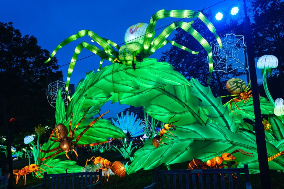 chinese lantern festival