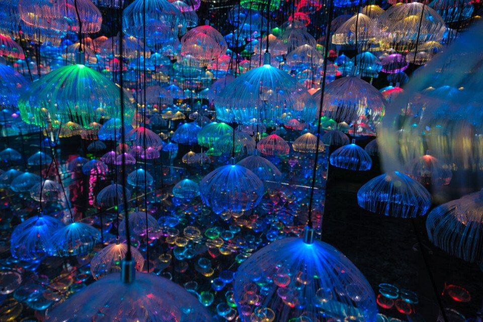 chinese lantern festival