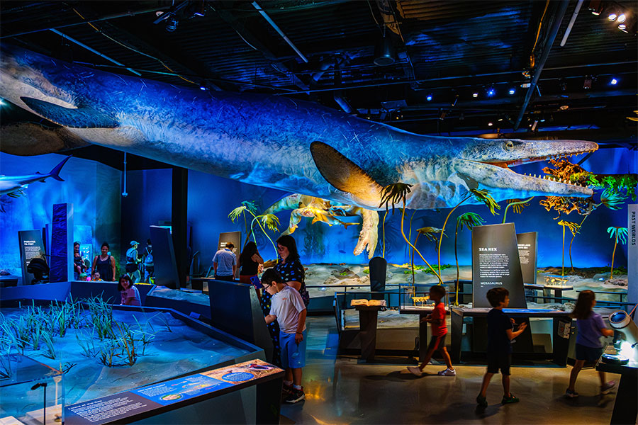 Best of Philly 2025: Fun & Games