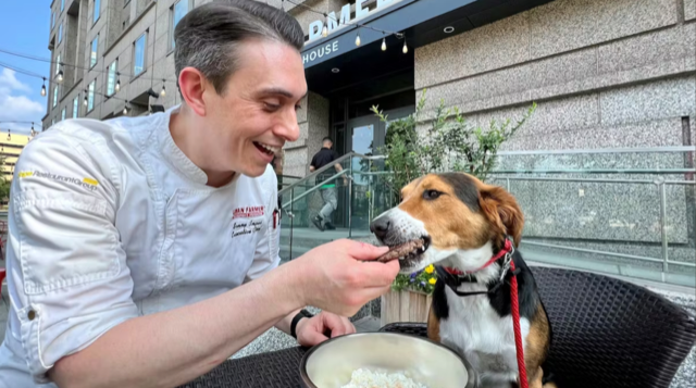 dog friendly restaurants bars philadelphia