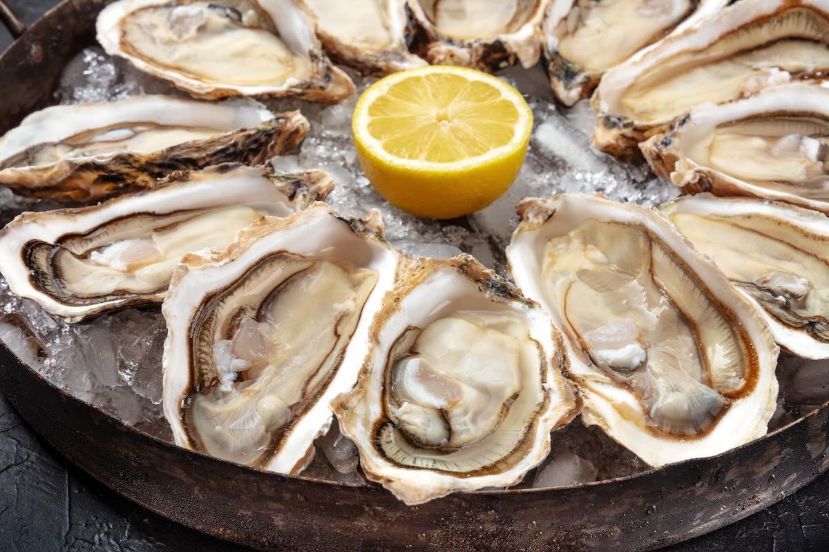Enjoy all types of oysters all week long as the Clam Tavern in Delco celebrates National Oyster Week.