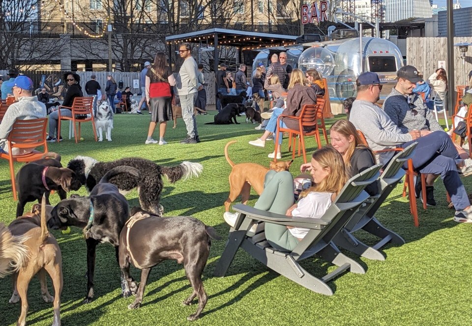 dog friendly restaurants philadelphia