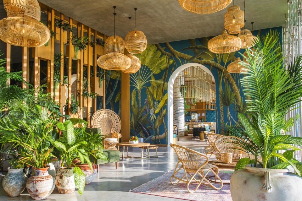 tropical honeymoon