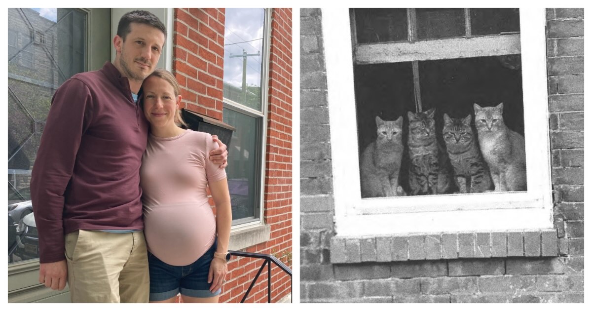 Left: William and Valerie Cowan outside their South Philadelphia home (photo by Victor Fiorillo) | Right: Just some of the cats next door (photo via court exhibit)