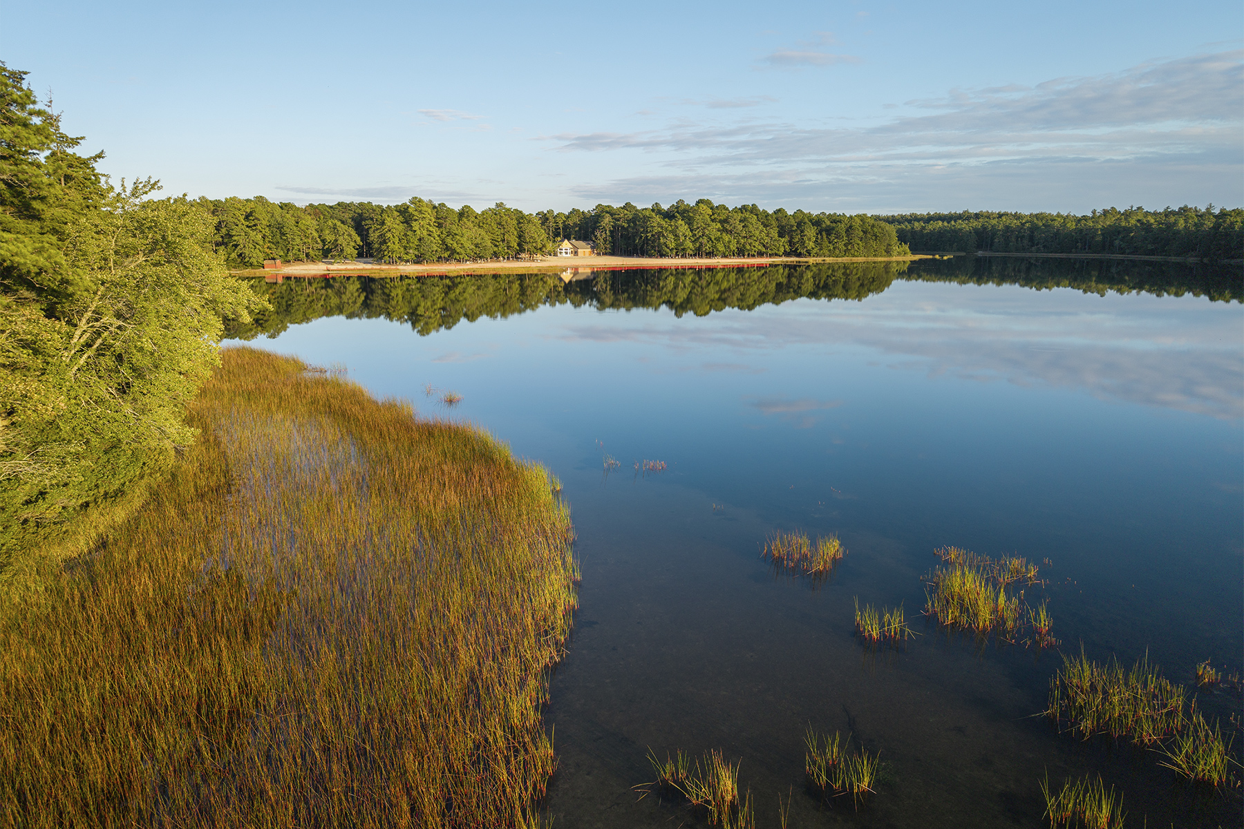Secrets of the Pine Barrens