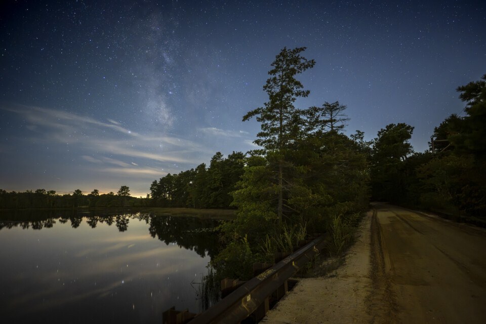 Pine Barrens NJ New Jersey