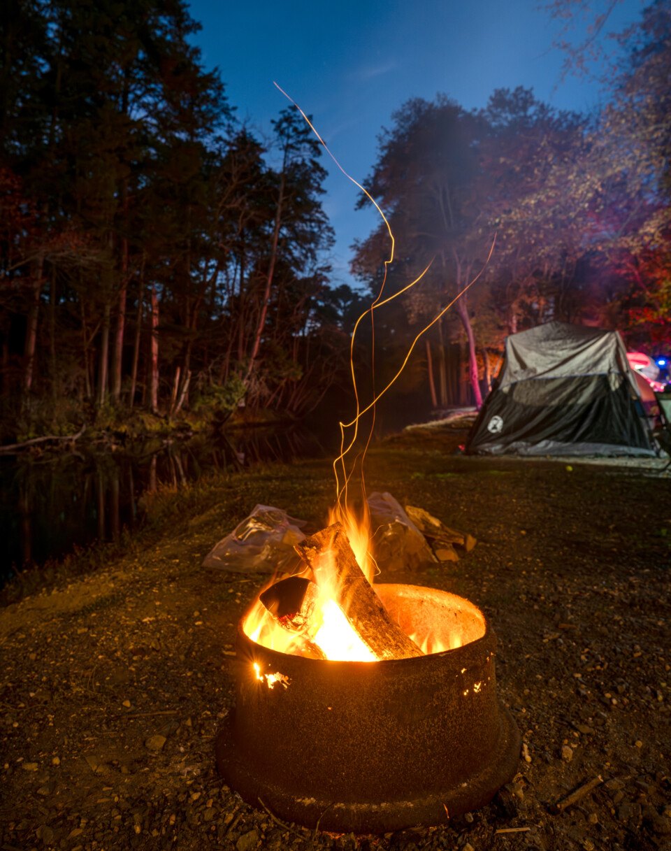 Pine Barrens NJ