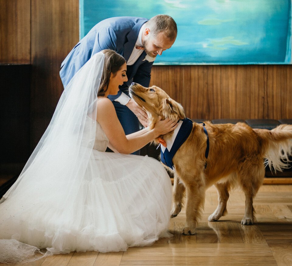 pet dog at wedding