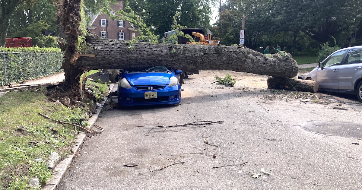Inside the Great Philadelphia Microburst Storm of 2026
