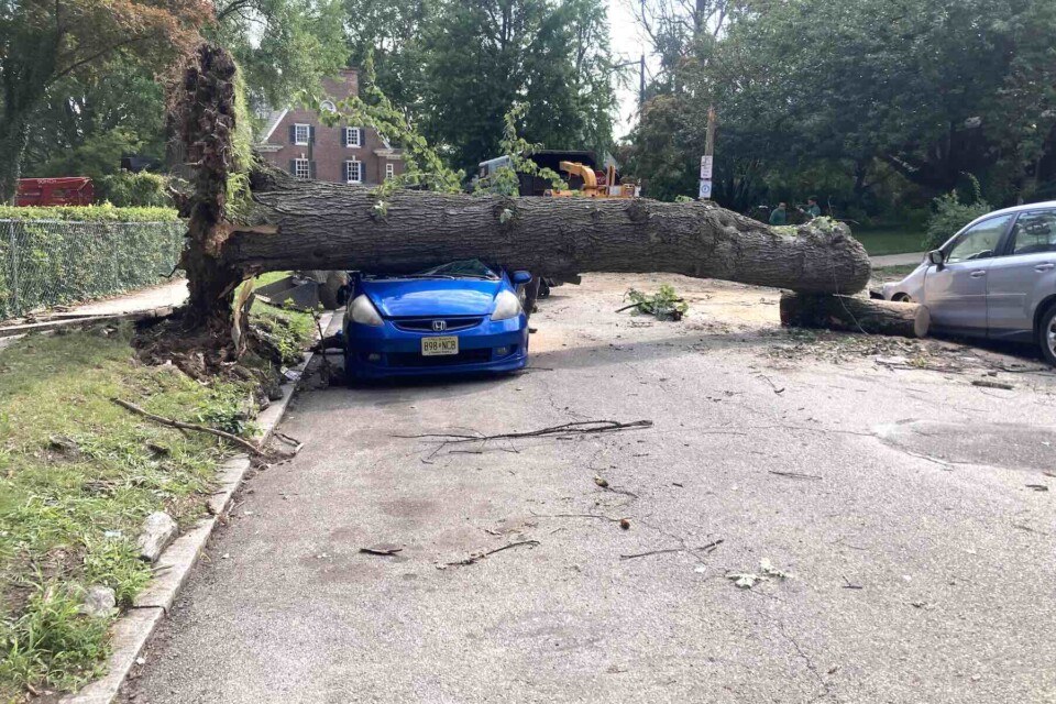 A tree that crushed this car during the microburst storm in Philadelphia remained on top of the car on Monday morning, two days after the storm
