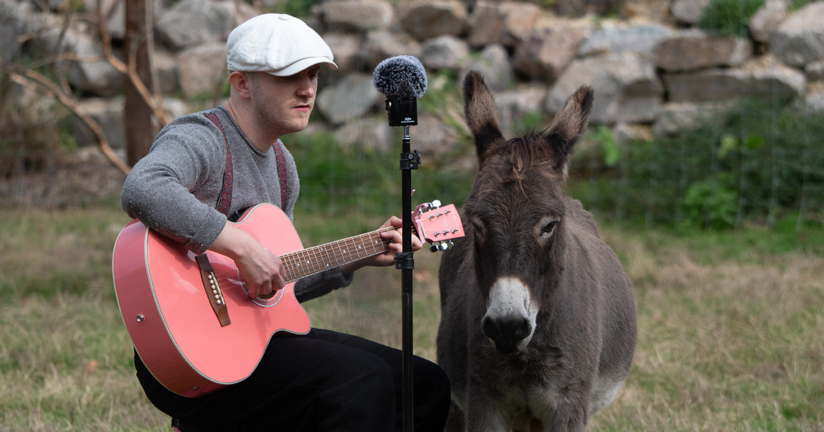 French Musician Plumes Is Coming to Sing to the Philadelphia Zoo’s Animals
