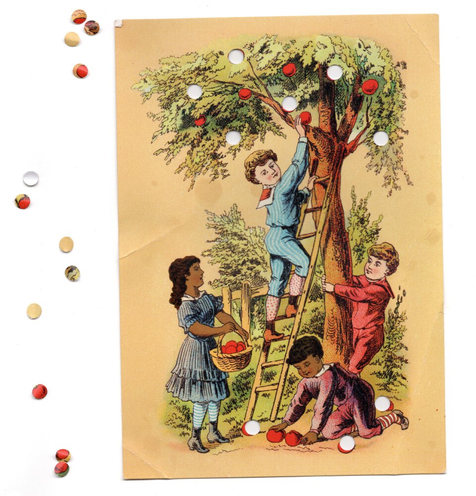 apples
