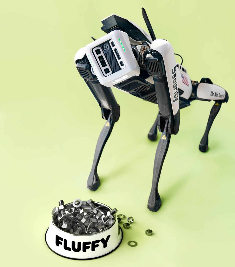 robot dog