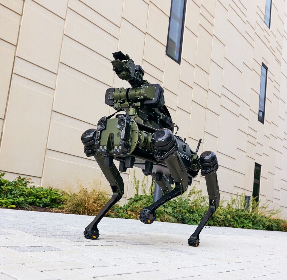robot dog