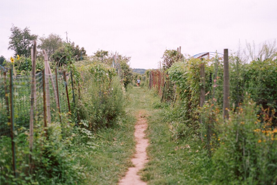 upper roxborough shawmont