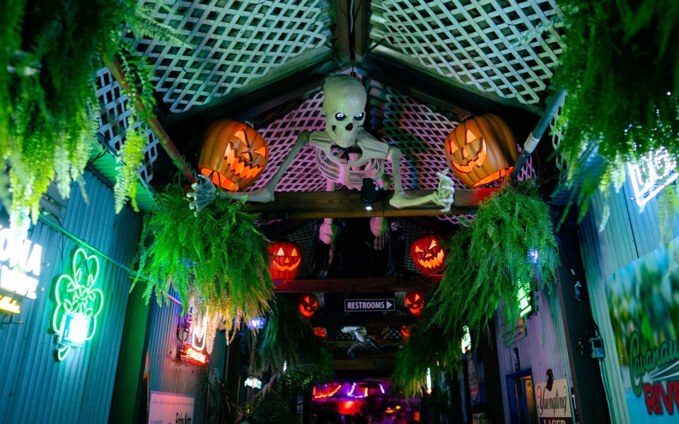 halloween bars