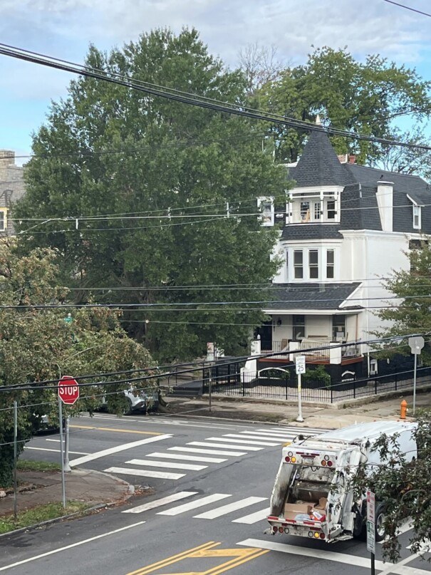 West Philadelphia Neighbors Fight to Prevent Tree Removal
